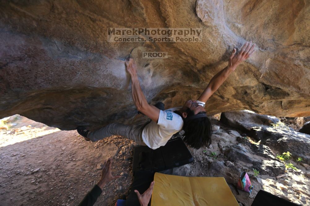 

Filename: SRM_20211212_1536580.jpg
Aperture: f/4.0
Shutter Speed: 1/400
Body: Canon EOS R6
Lens: Canon EF 16-35mm f/2.8 L