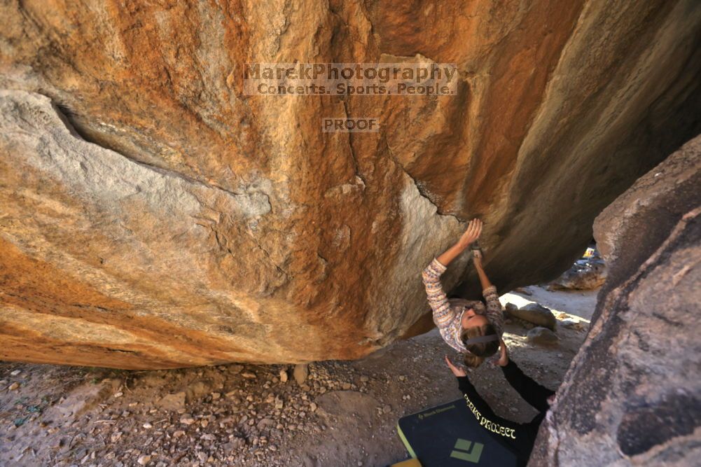 

Filename: SRM_20211212_1607140.jpg
Aperture: f/5.6
Shutter Speed: 1/400
Body: Canon EOS R6
Lens: Canon EF 16-35mm f/2.8 L