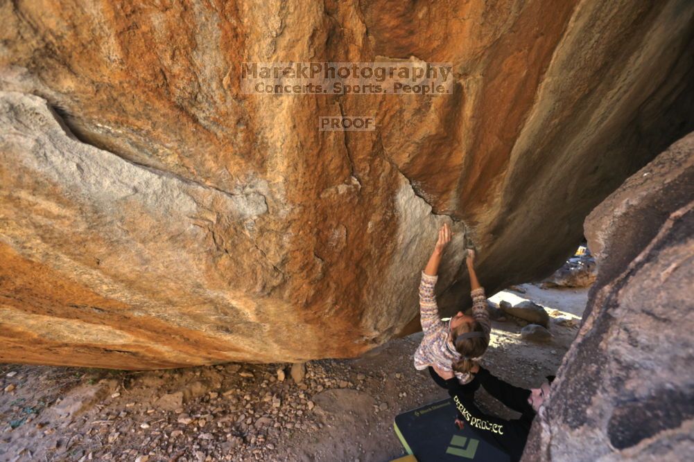 

Filename: SRM_20211212_1607150.jpg
Aperture: f/5.6
Shutter Speed: 1/400
Body: Canon EOS R6
Lens: Canon EF 16-35mm f/2.8 L