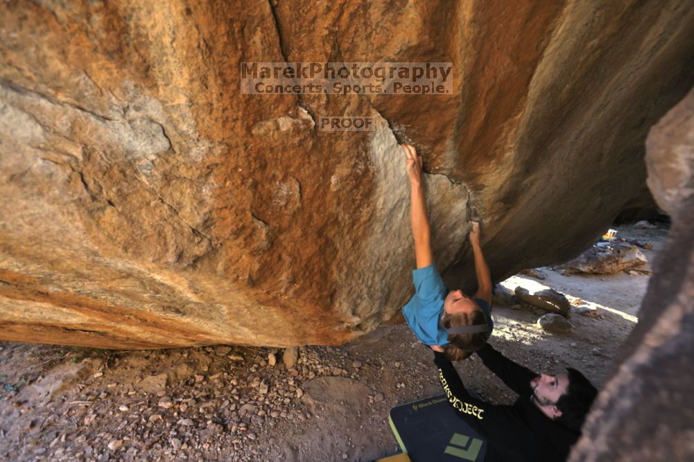 

Filename: SRM_20211212_1609092.jpg
Aperture: f/5.6
Shutter Speed: 1/400
Body: Canon EOS R6
Lens: Canon EF 16-35mm f/2.8 L