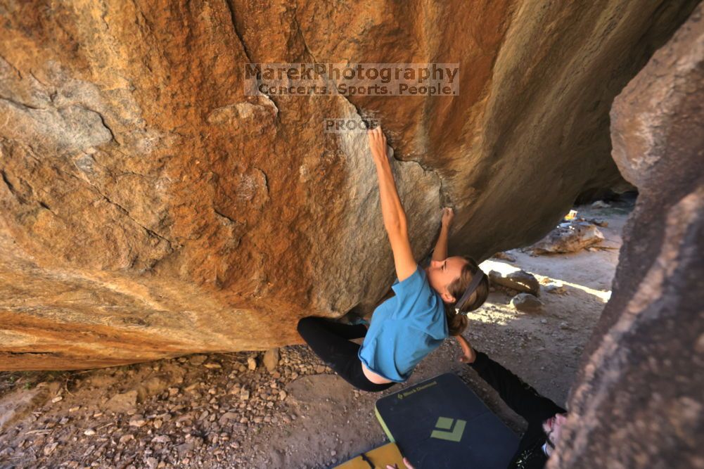 

Filename: SRM_20211212_1609160.jpg
Aperture: f/5.6
Shutter Speed: 1/400
Body: Canon EOS R6
Lens: Canon EF 16-35mm f/2.8 L