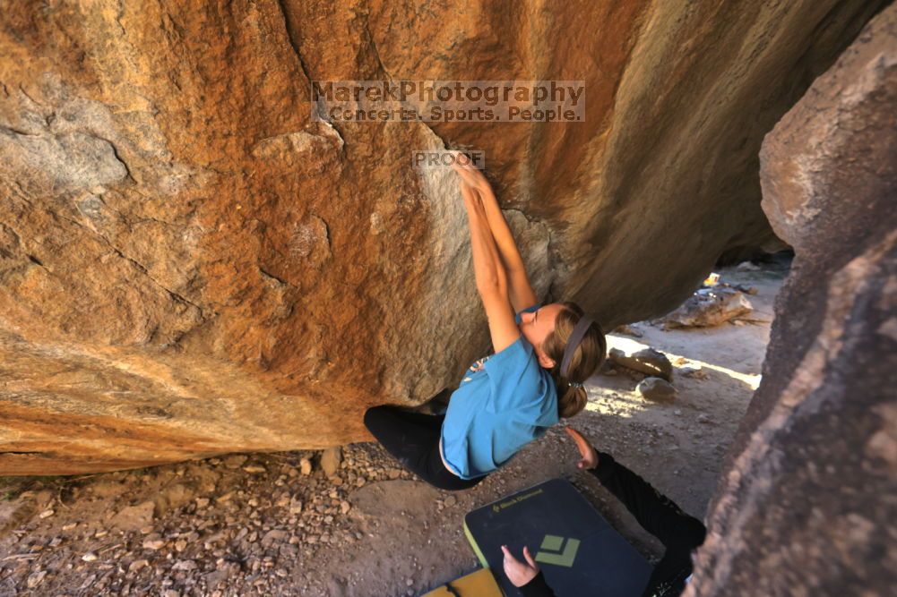 

Filename: SRM_20211212_1609171.jpg
Aperture: f/5.6
Shutter Speed: 1/400
Body: Canon EOS R6
Lens: Canon EF 16-35mm f/2.8 L