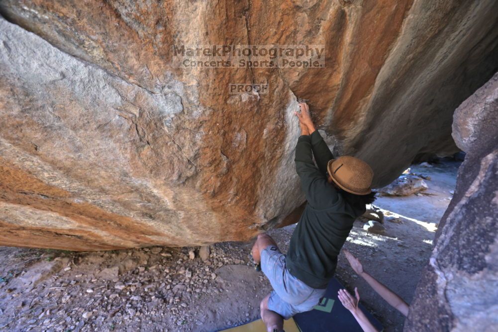 

Filename: SRM_20211212_1612251.jpg
Aperture: f/5.6
Shutter Speed: 1/400
Body: Canon EOS R6
Lens: Canon EF 16-35mm f/2.8 L