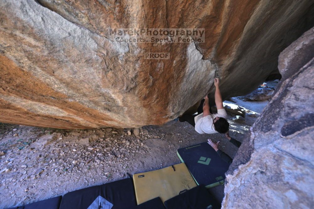 

Filename: SRM_20211212_1615241.jpg
Aperture: f/5.6
Shutter Speed: 1/400
Body: Canon EOS R6
Lens: Canon EF 16-35mm f/2.8 L