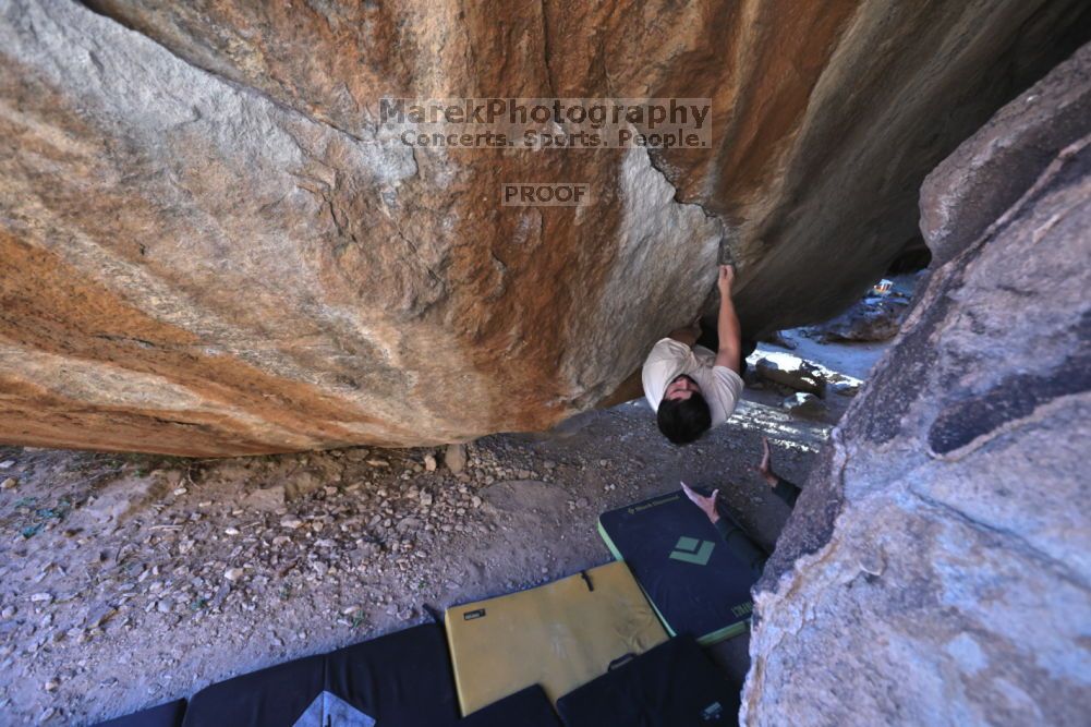 

Filename: SRM_20211212_1615290.jpg
Aperture: f/5.6
Shutter Speed: 1/400
Body: Canon EOS R6
Lens: Canon EF 16-35mm f/2.8 L