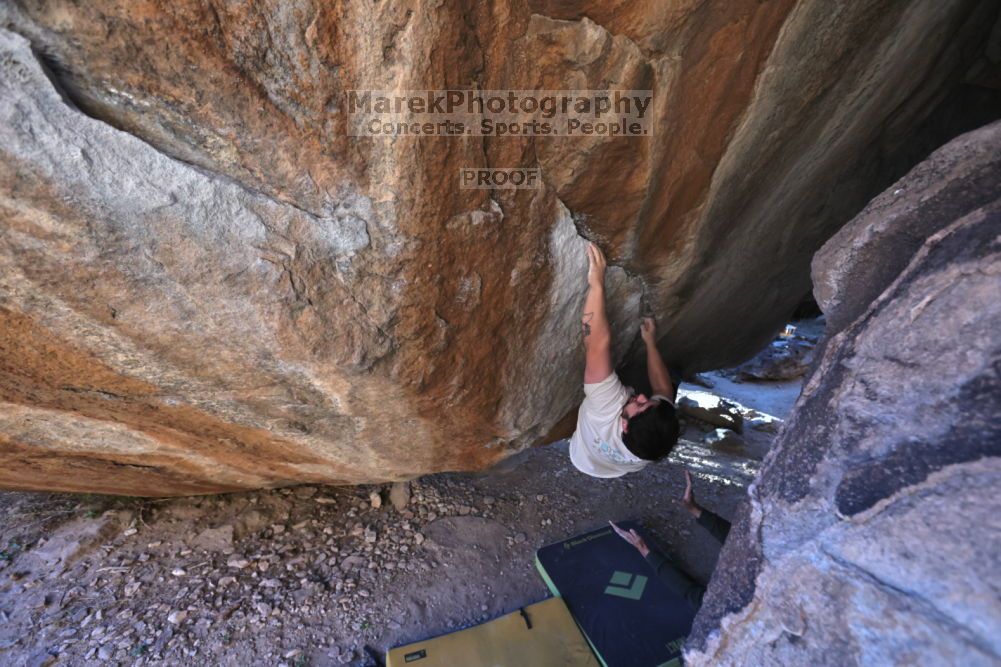 

Filename: SRM_20211212_1615311.jpg
Aperture: f/5.6
Shutter Speed: 1/400
Body: Canon EOS R6
Lens: Canon EF 16-35mm f/2.8 L