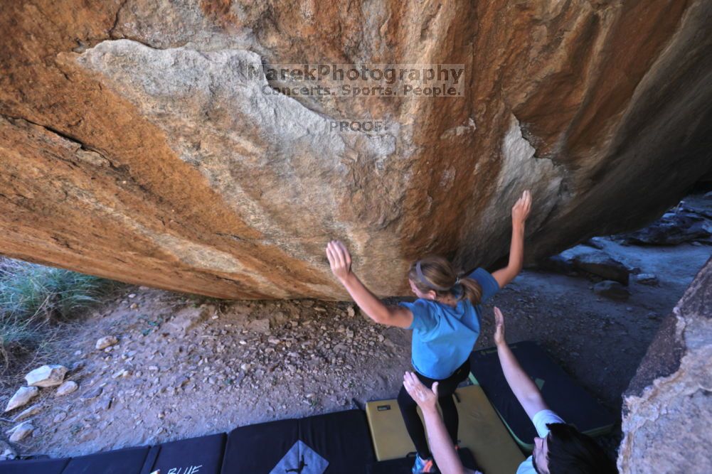 

Filename: SRM_20211212_1617110.jpg
Aperture: f/5.6
Shutter Speed: 1/400
Body: Canon EOS R6
Lens: Canon EF 16-35mm f/2.8 L