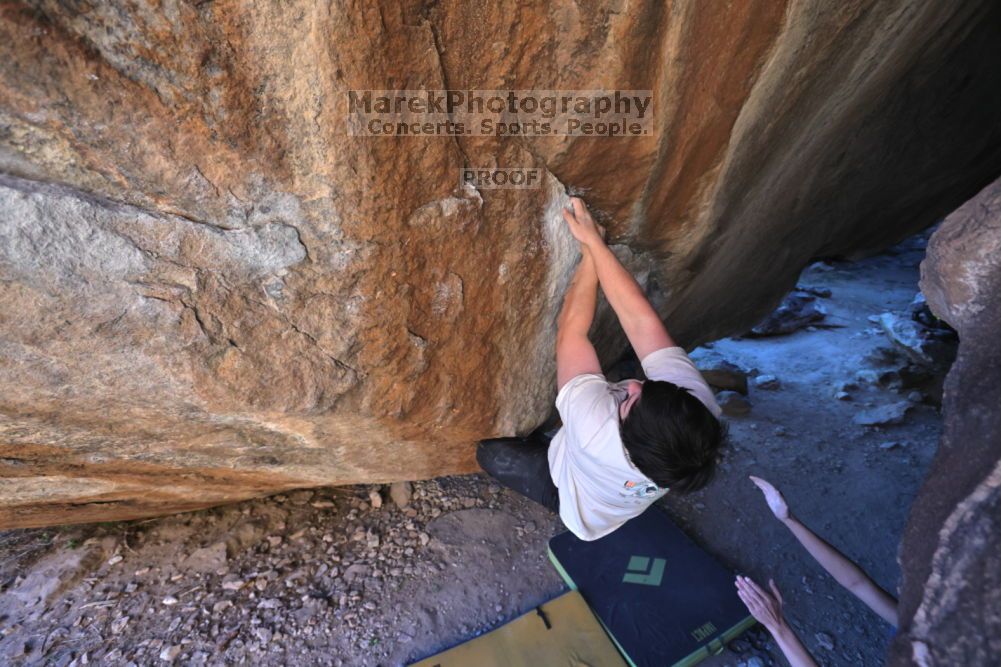 

Filename: SRM_20211212_1618550.jpg
Aperture: f/5.6
Shutter Speed: 1/400
Body: Canon EOS R6
Lens: Canon EF 16-35mm f/2.8 L