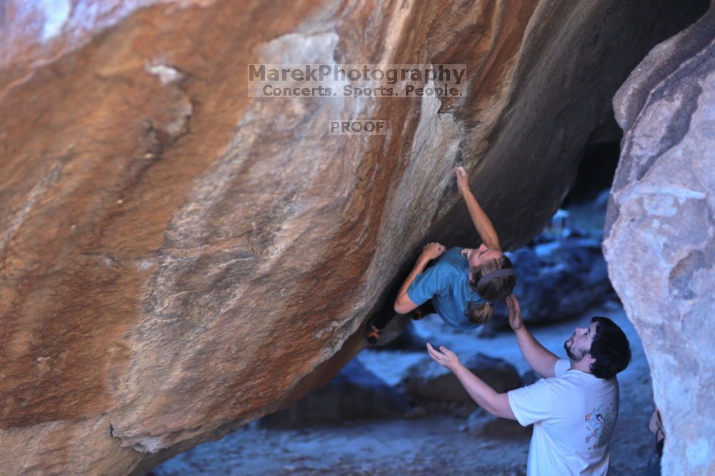 

Filename: SRM_20211212_1622320.jpg
Aperture: f/1.6
Shutter Speed: 1/400
Body: Canon EOS R6
Lens: Canon EF 85mm f/1.2 L II