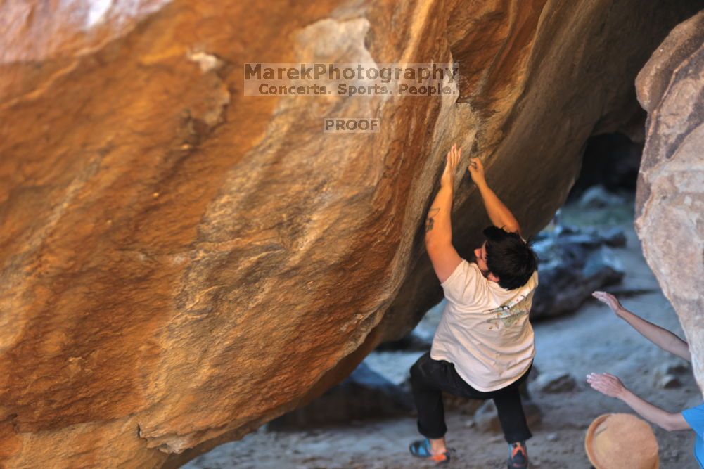 

Filename: SRM_20211212_1623430.jpg
Aperture: f/1.6
Shutter Speed: 1/400
Body: Canon EOS R6
Lens: Canon EF 85mm f/1.2 L II