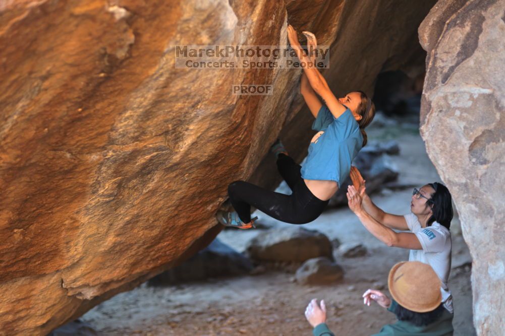 

Filename: SRM_20211212_1624350.jpg
Aperture: f/1.6
Shutter Speed: 1/400
Body: Canon EOS R6
Lens: Canon EF 85mm f/1.2 L II