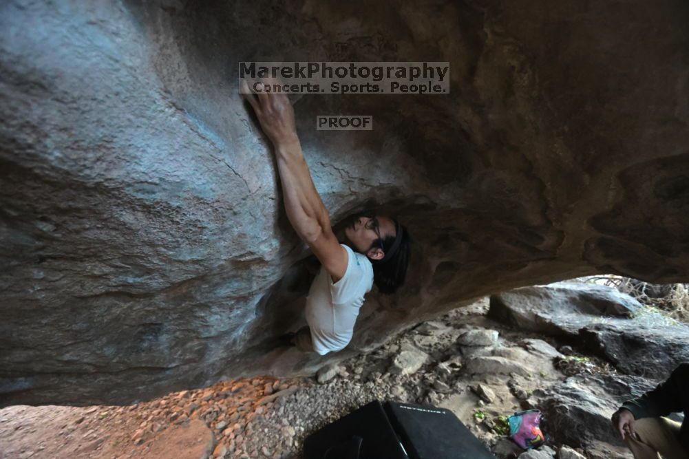 

Filename: SRM_20211212_1645440.jpg
Aperture: f/4.0
Shutter Speed: 1/400
Body: Canon EOS R6
Lens: Canon EF 16-35mm f/2.8 L