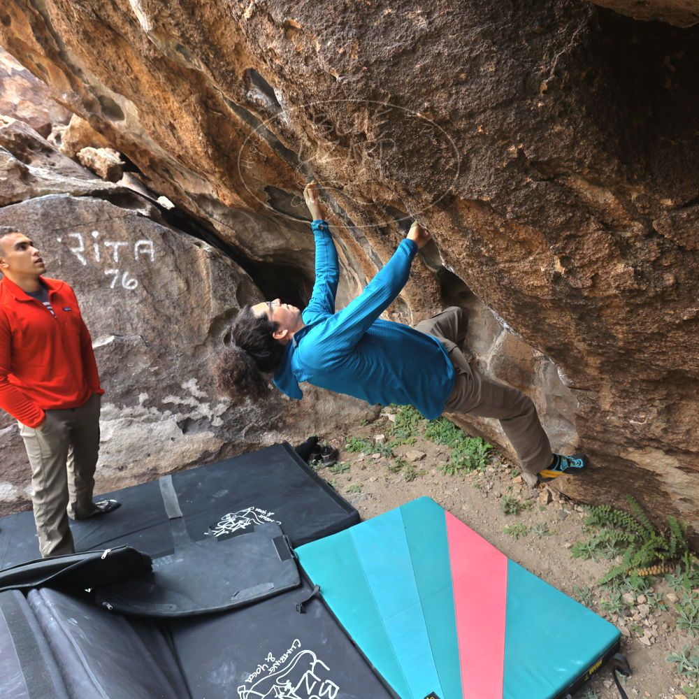 

Filename: SRM_20211219_0928230.jpg
Aperture: f/5.6
Shutter Speed: 1/500
Body: Canon EOS R6
Lens: Canon EF 16-35mm f/2.8 L