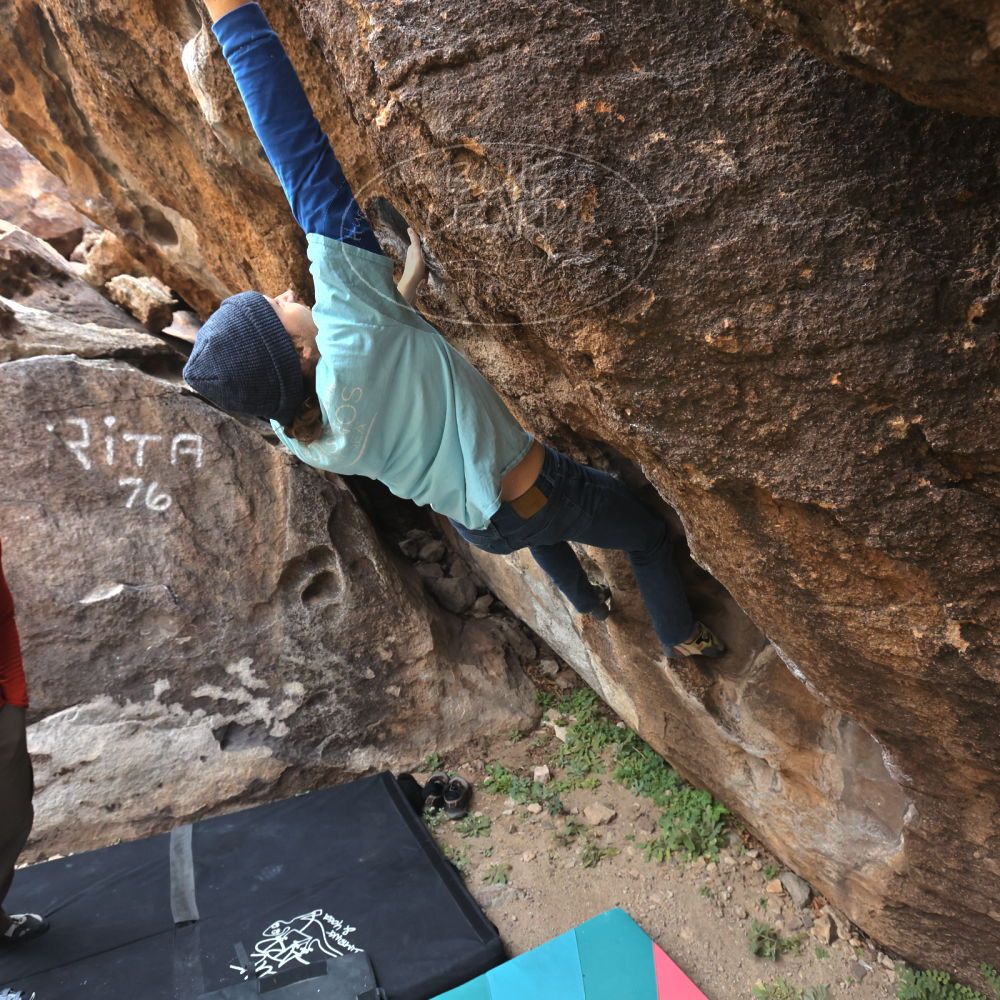 

Filename: SRM_20211219_0933581.jpg
Aperture: f/5.6
Shutter Speed: 1/500
Body: Canon EOS R6
Lens: Canon EF 16-35mm f/2.8 L