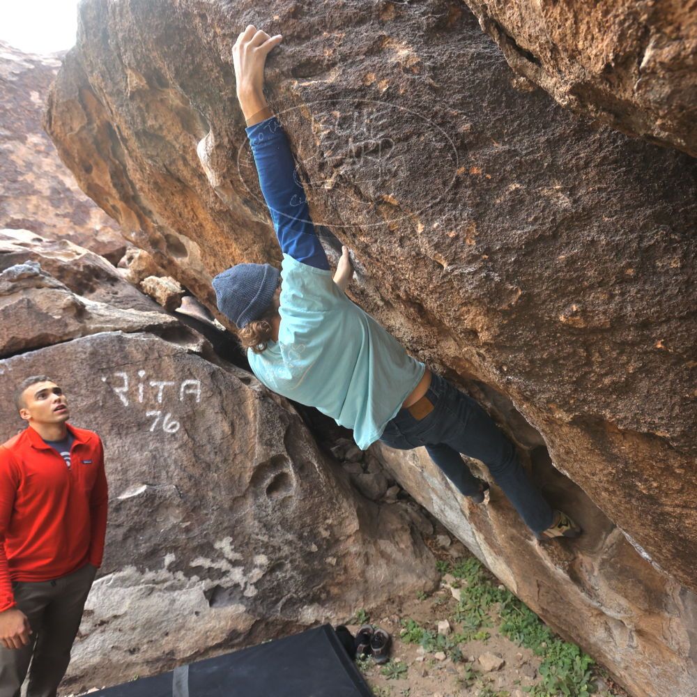 

Filename: SRM_20211219_0933590.jpg
Aperture: f/5.6
Shutter Speed: 1/500
Body: Canon EOS R6
Lens: Canon EF 16-35mm f/2.8 L