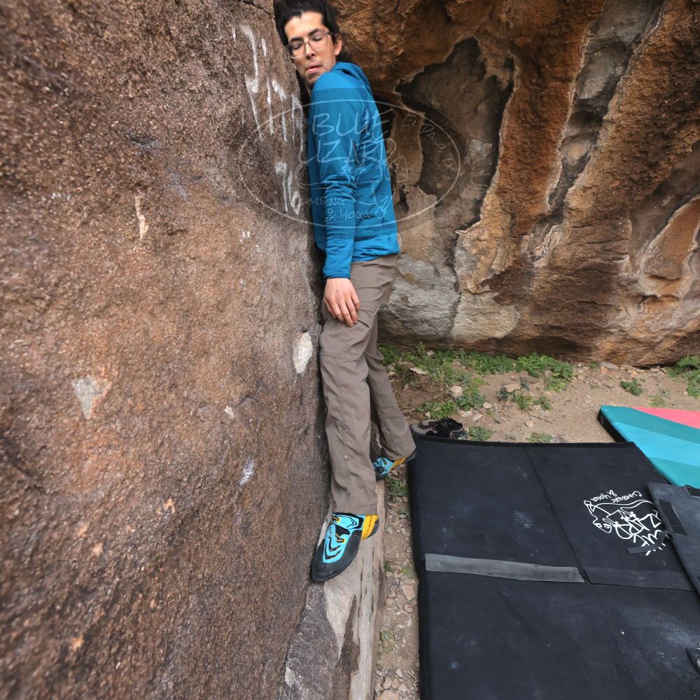 

Filename: SRM_20211219_0935360.jpg
Aperture: f/5.6
Shutter Speed: 1/500
Body: Canon EOS R6
Lens: Canon EF 16-35mm f/2.8 L