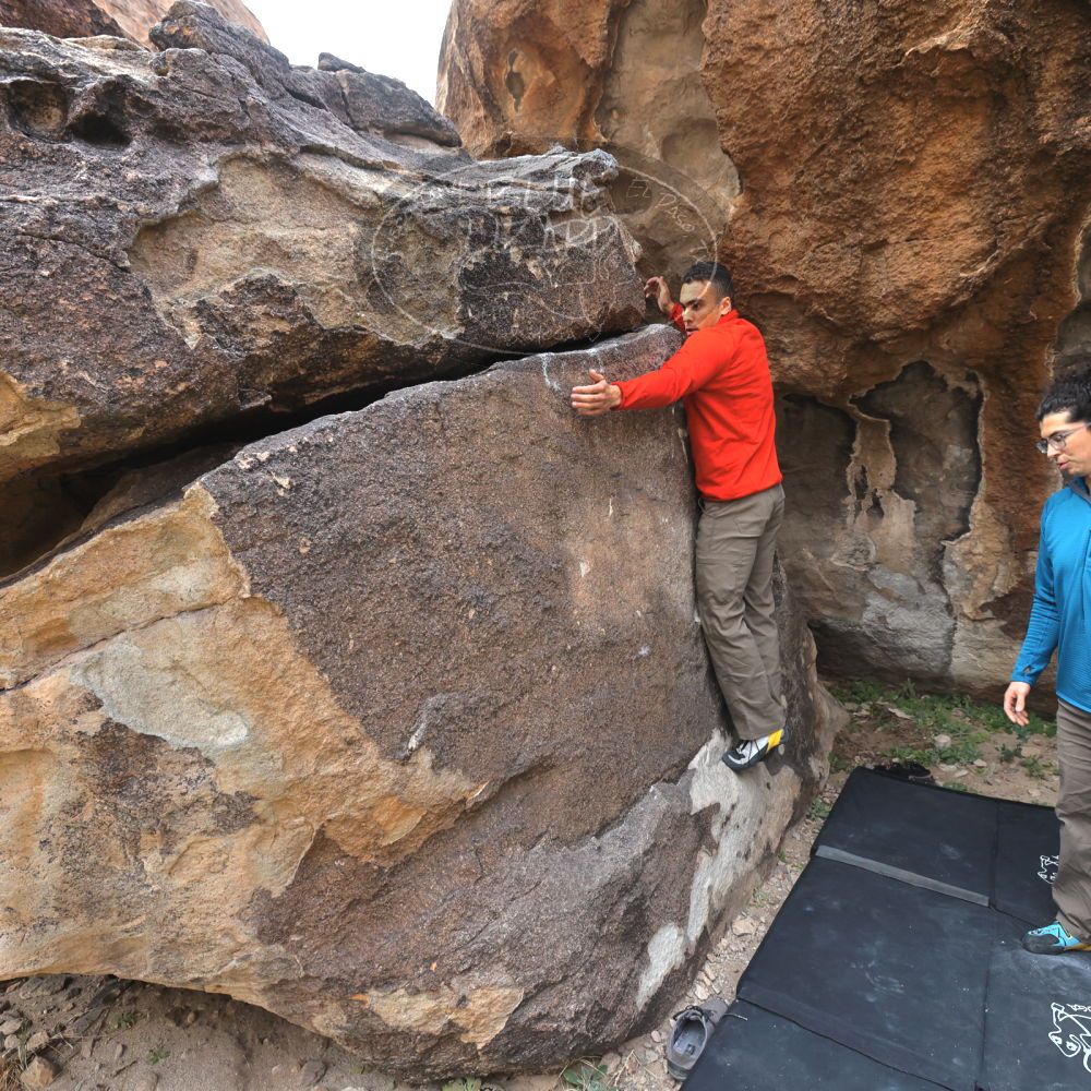 

Filename: SRM_20211219_0936410.jpg
Aperture: f/5.6
Shutter Speed: 1/500
Body: Canon EOS R6
Lens: Canon EF 16-35mm f/2.8 L