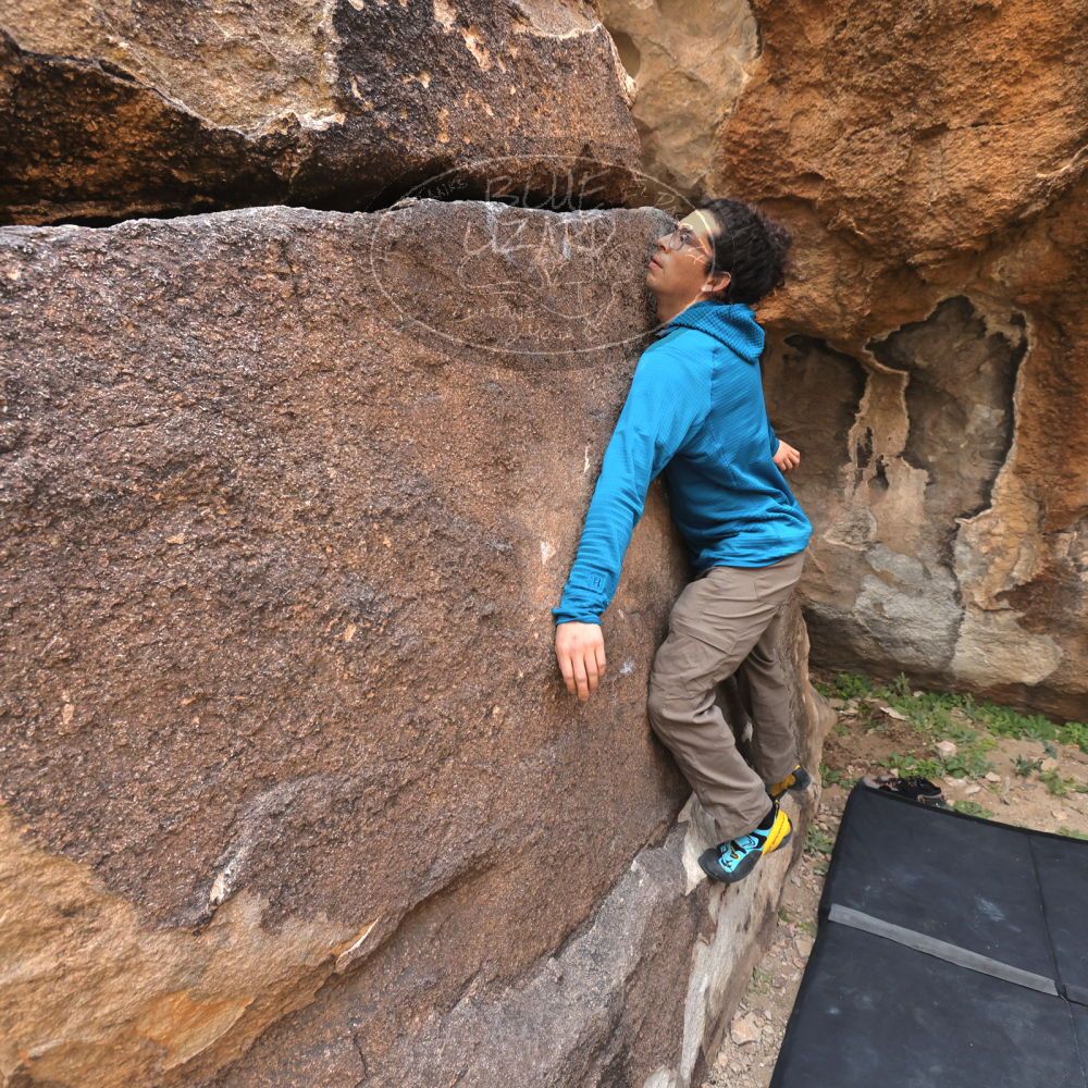 

Filename: SRM_20211219_0938170.jpg
Aperture: f/5.6
Shutter Speed: 1/500
Body: Canon EOS R6
Lens: Canon EF 16-35mm f/2.8 L