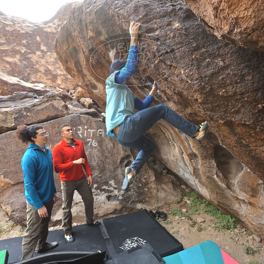 

Filename: SRM_20211219_0942290.jpg
Aperture: f/5.6
Shutter Speed: 1/500
Body: Canon EOS R6
Lens: Canon EF 16-35mm f/2.8 L