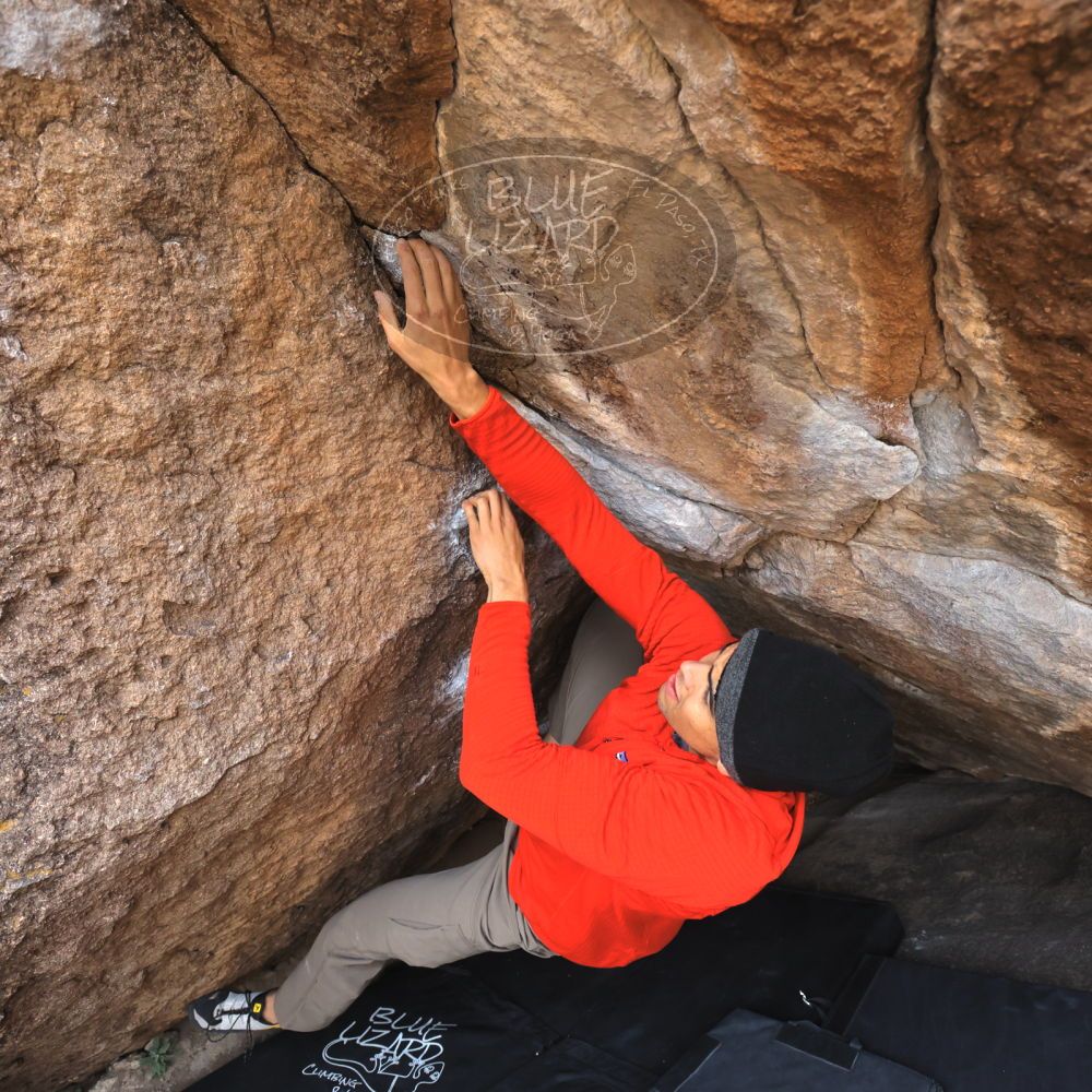 

Filename: SRM_20211219_0951410.jpg
Aperture: f/5.6
Shutter Speed: 1/500
Body: Canon EOS R6
Lens: Canon EF 16-35mm f/2.8 L