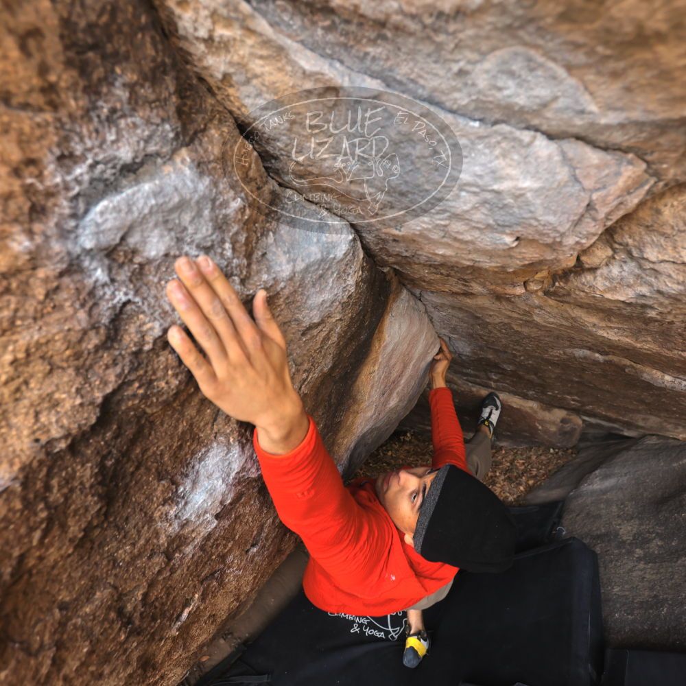 

Filename: SRM_20211219_0957180.jpg
Aperture: f/4.0
Shutter Speed: 1/400
Body: Canon EOS R6
Lens: Canon EF 16-35mm f/2.8 L