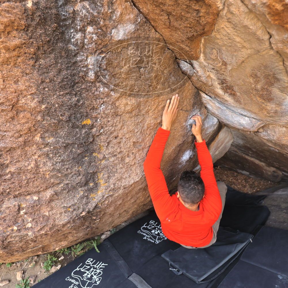 

Filename: SRM_20211219_1000460.jpg
Aperture: f/4.0
Shutter Speed: 1/400
Body: Canon EOS R6
Lens: Canon EF 16-35mm f/2.8 L