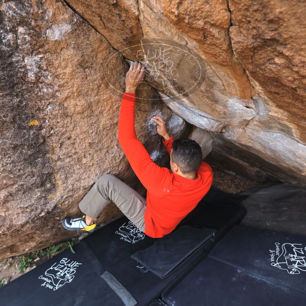 

Filename: SRM_20211219_1001291.jpg
Aperture: f/4.0
Shutter Speed: 1/400
Body: Canon EOS R6
Lens: Canon EF 16-35mm f/2.8 L