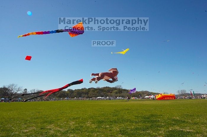 79th annual Zilker Park Kite Festival, Sunday, March 4, 2007.
Filename: SRM_20070304_1505267.jpg
Aperture: f/14.0
Shutter Speed: 1/160
Body: Canon EOS-1D Mark II
Lens: Sigma 15-30mm f/3.5-4.5 EX Aspherical DG DF