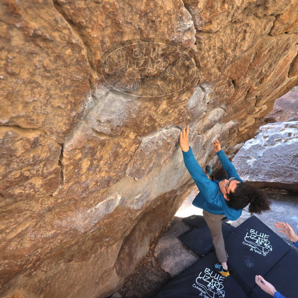 

Filename: SRM_20211219_1035110.jpg
Aperture: f/4.0
Shutter Speed: 1/400
Body: Canon EOS R6
Lens: Canon EF 16-35mm f/2.8 L