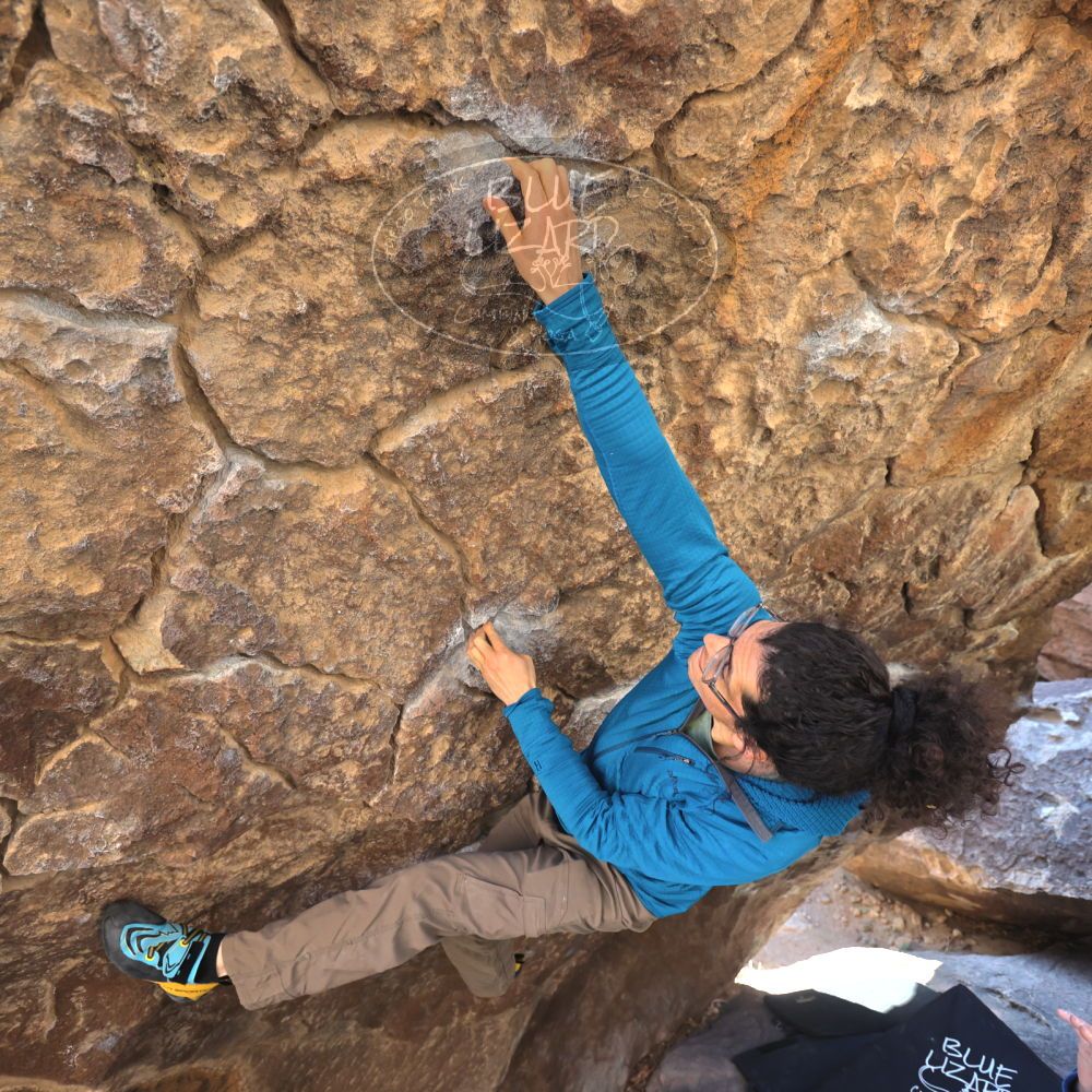 

Filename: SRM_20211219_1039412.jpg
Aperture: f/4.0
Shutter Speed: 1/400
Body: Canon EOS R6
Lens: Canon EF 16-35mm f/2.8 L