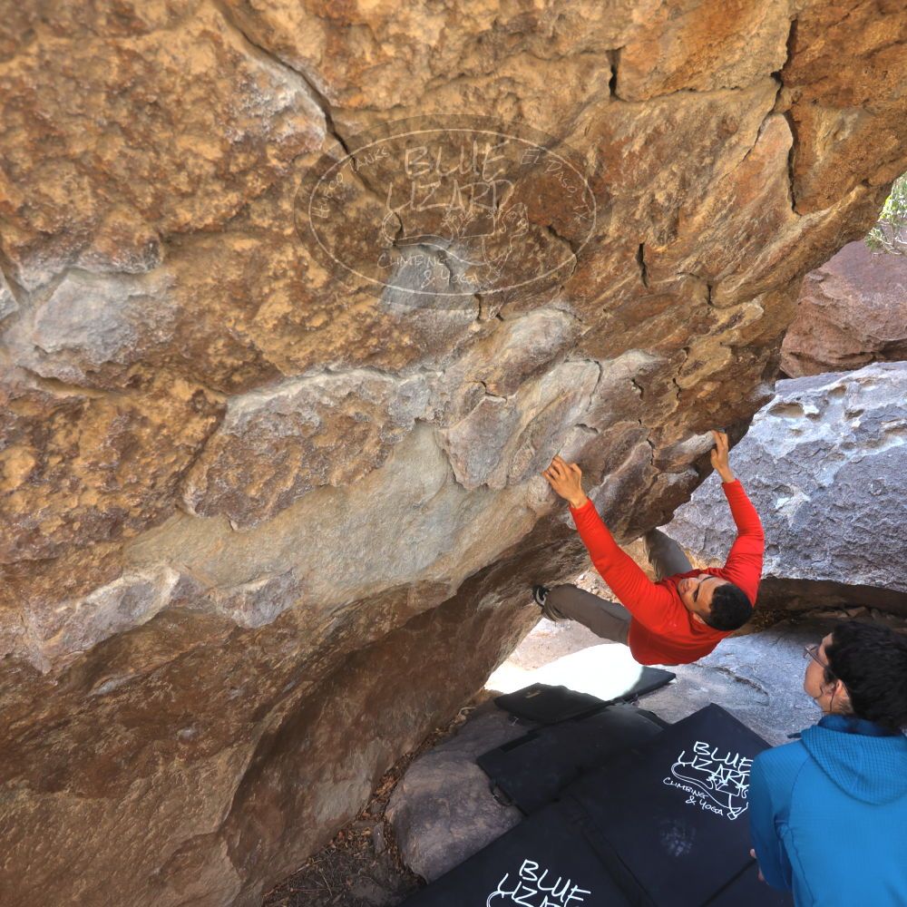 

Filename: SRM_20211219_1042310.jpg
Aperture: f/4.0
Shutter Speed: 1/400
Body: Canon EOS R6
Lens: Canon EF 16-35mm f/2.8 L