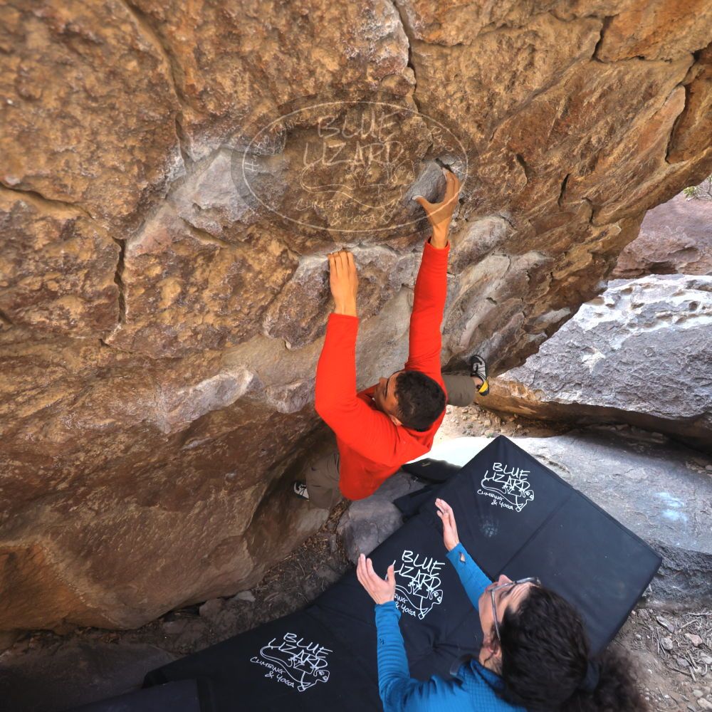 

Filename: SRM_20211219_1045160.jpg
Aperture: f/4.0
Shutter Speed: 1/400
Body: Canon EOS R6
Lens: Canon EF 16-35mm f/2.8 L