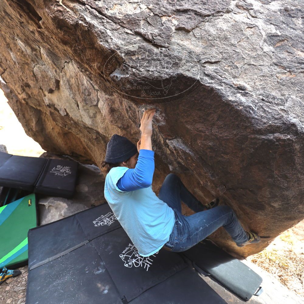 

Filename: SRM_20211219_1050070.jpg
Aperture: f/4.0
Shutter Speed: 1/400
Body: Canon EOS R6
Lens: Canon EF 16-35mm f/2.8 L