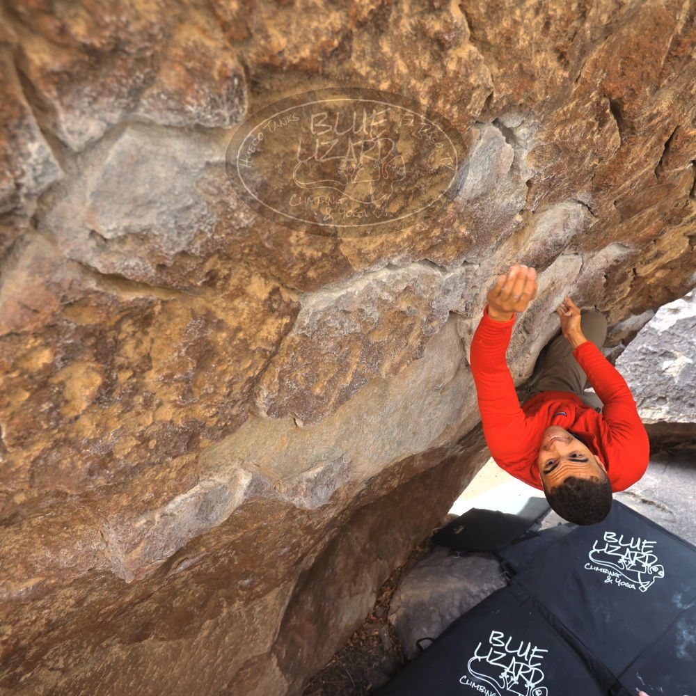 

Filename: SRM_20211219_1054510.jpg
Aperture: f/4.0
Shutter Speed: 1/400
Body: Canon EOS R6
Lens: Canon EF 16-35mm f/2.8 L