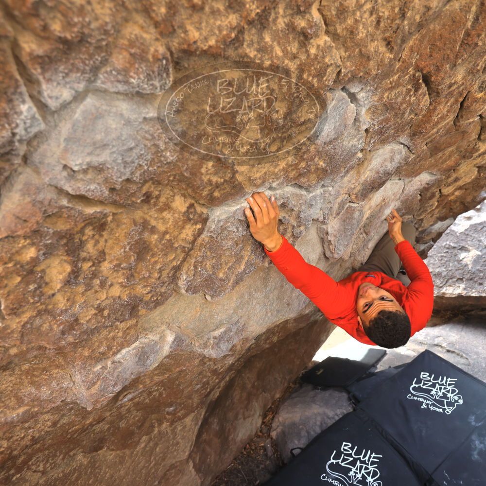 

Filename: SRM_20211219_1054511.jpg
Aperture: f/4.0
Shutter Speed: 1/400
Body: Canon EOS R6
Lens: Canon EF 16-35mm f/2.8 L