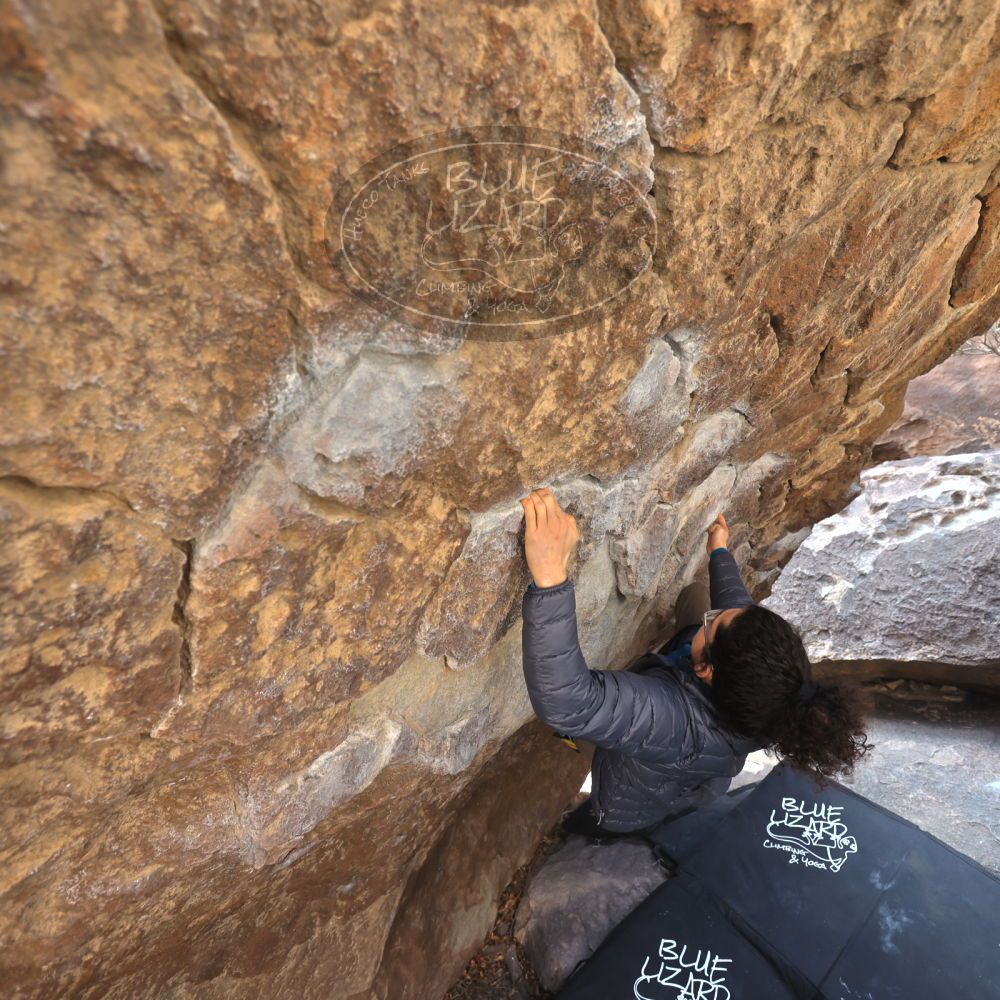 

Filename: SRM_20211219_1057040.jpg
Aperture: f/4.0
Shutter Speed: 1/400
Body: Canon EOS R6
Lens: Canon EF 16-35mm f/2.8 L