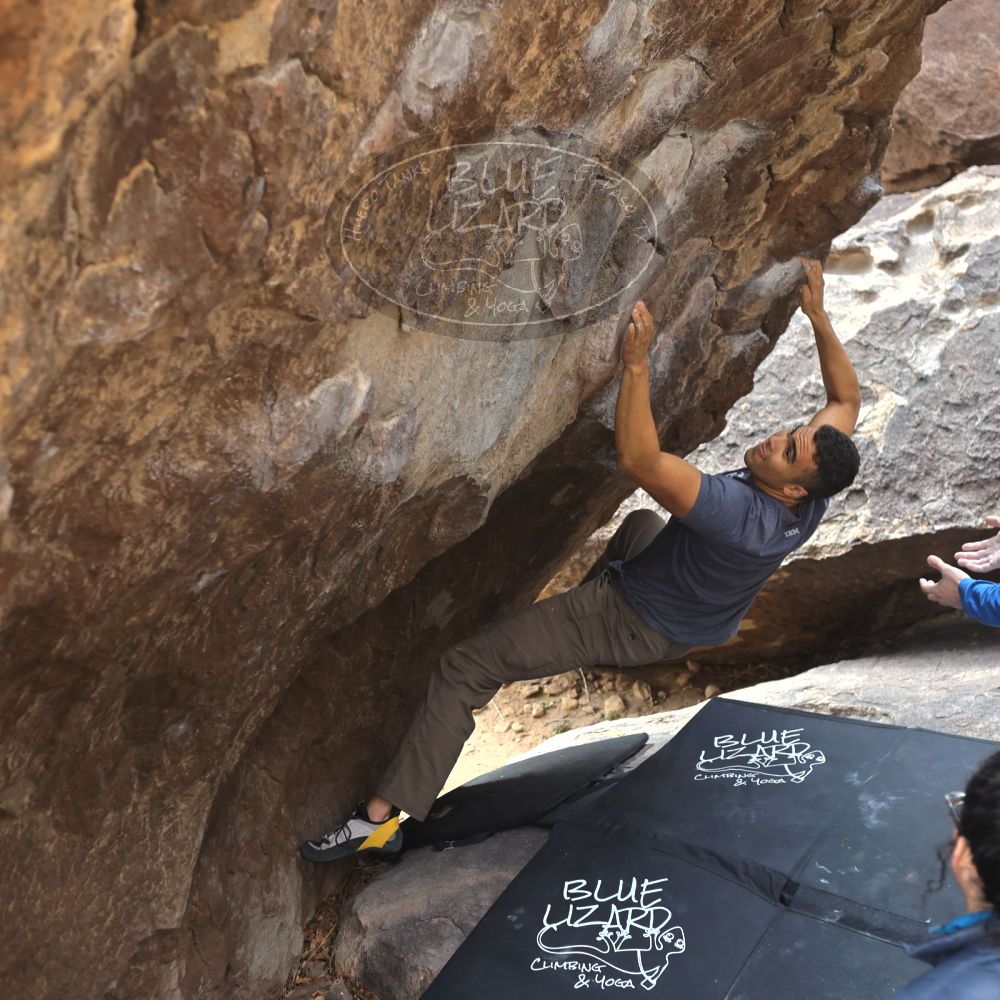 

Filename: SRM_20211219_1109290.jpg
Aperture: f/4.0
Shutter Speed: 1/400
Body: Canon EOS R6
Lens: Canon EF 50mm f/1.8 II