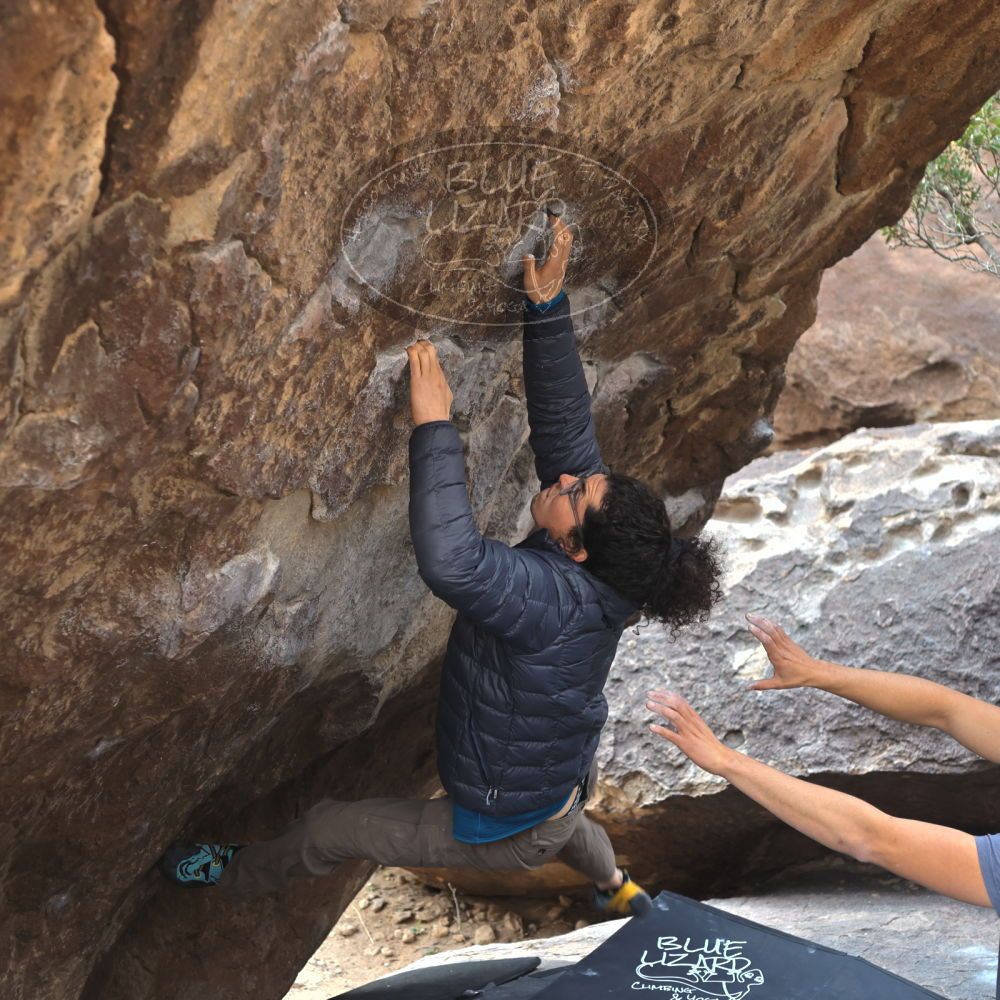 

Filename: SRM_20211219_1117352.jpg
Aperture: f/4.0
Shutter Speed: 1/400
Body: Canon EOS R6
Lens: Canon EF 50mm f/1.8 II