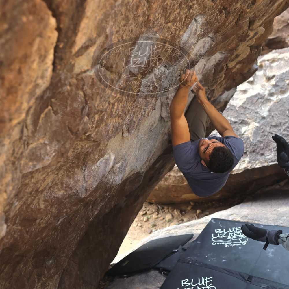 

Filename: SRM_20211219_1120370.jpg
Aperture: f/4.0
Shutter Speed: 1/400
Body: Canon EOS R6
Lens: Canon EF 50mm f/1.8 II