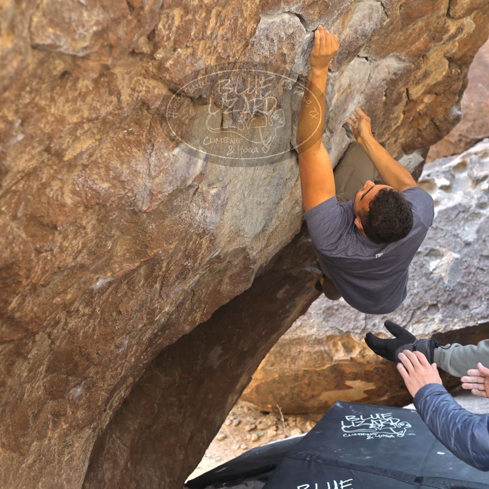 

Filename: SRM_20211219_1127580.jpg
Aperture: f/4.0
Shutter Speed: 1/400
Body: Canon EOS R6
Lens: Canon EF 50mm f/1.8 II