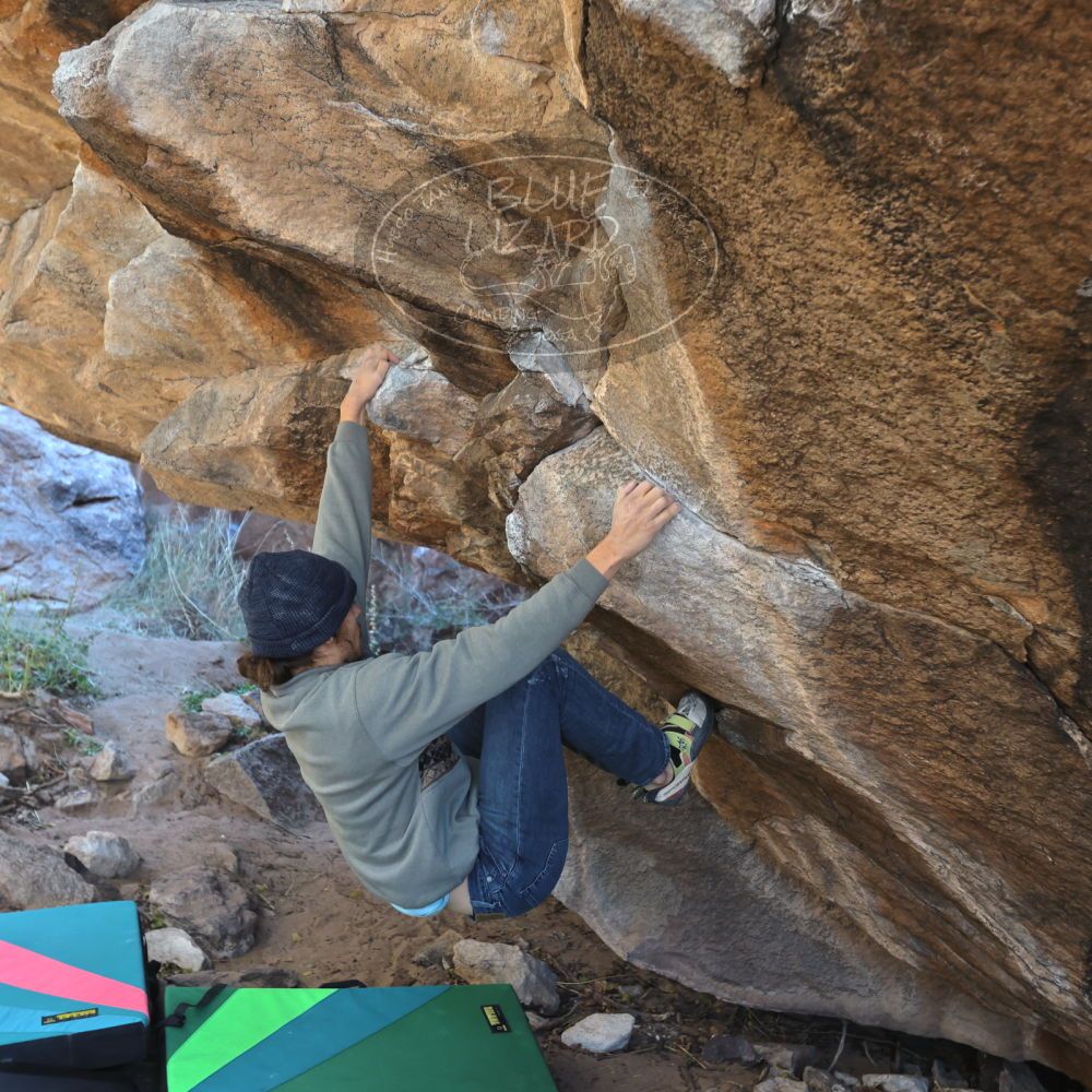 

Filename: SRM_20211219_1209560.jpg
Aperture: f/4.0
Shutter Speed: 1/400
Body: Canon EOS R6
Lens: Canon EF 16-35mm f/2.8 L