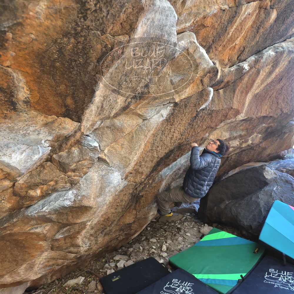 

Filename: SRM_20211219_1236420.jpg
Aperture: f/4.0
Shutter Speed: 1/400
Body: Canon EOS R6
Lens: Canon EF 16-35mm f/2.8 L