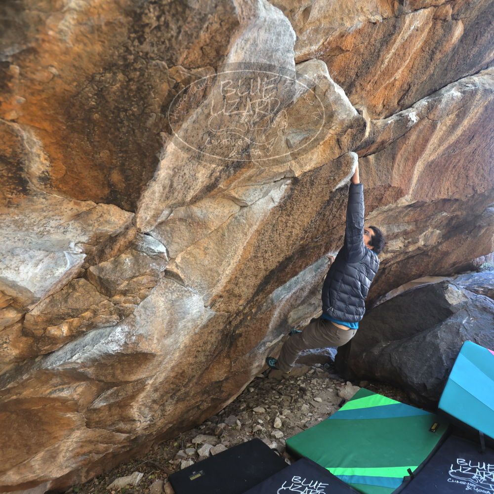 

Filename: SRM_20211219_1236421.jpg
Aperture: f/4.0
Shutter Speed: 1/400
Body: Canon EOS R6
Lens: Canon EF 16-35mm f/2.8 L