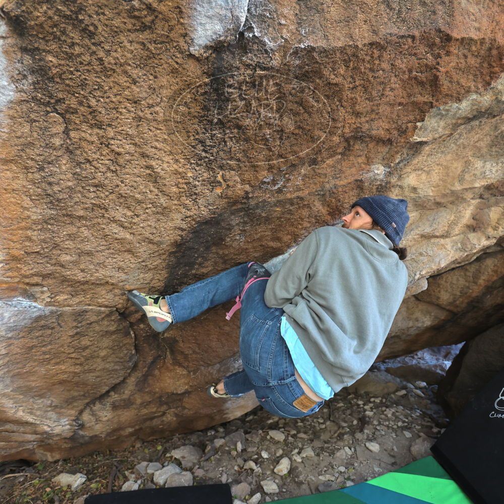 

Filename: SRM_20211219_1248300.jpg
Aperture: f/4.0
Shutter Speed: 1/400
Body: Canon EOS R6
Lens: Canon EF 16-35mm f/2.8 L