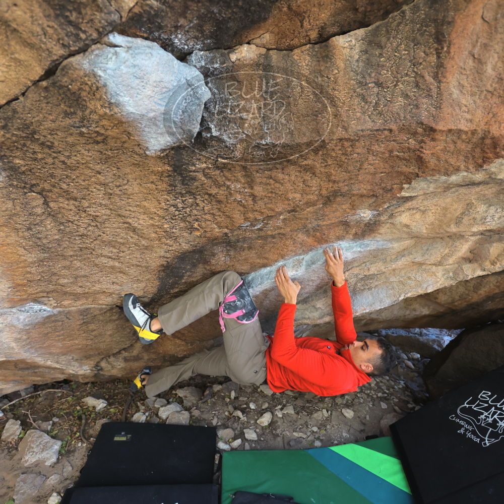 

Filename: SRM_20211219_1251052.jpg
Aperture: f/4.0
Shutter Speed: 1/400
Body: Canon EOS R6
Lens: Canon EF 16-35mm f/2.8 L