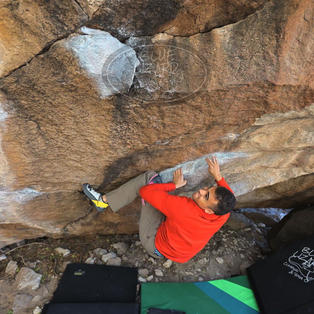 

Filename: SRM_20211219_1251080.jpg
Aperture: f/4.0
Shutter Speed: 1/400
Body: Canon EOS R6
Lens: Canon EF 16-35mm f/2.8 L