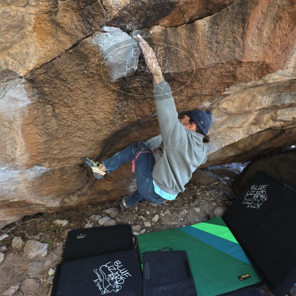 

Filename: SRM_20211219_1301473.jpg
Aperture: f/4.0
Shutter Speed: 1/400
Body: Canon EOS R6
Lens: Canon EF 16-35mm f/2.8 L