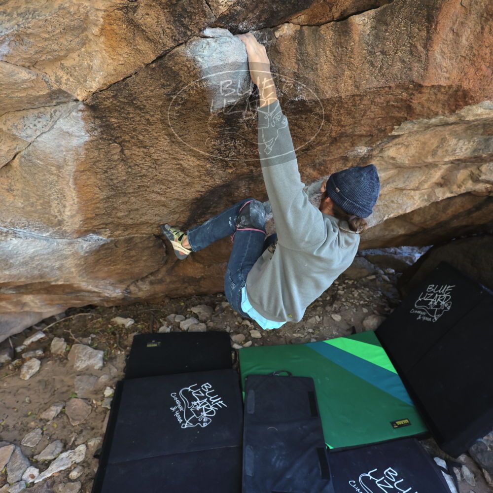 

Filename: SRM_20211219_1301501.jpg
Aperture: f/4.0
Shutter Speed: 1/400
Body: Canon EOS R6
Lens: Canon EF 16-35mm f/2.8 L