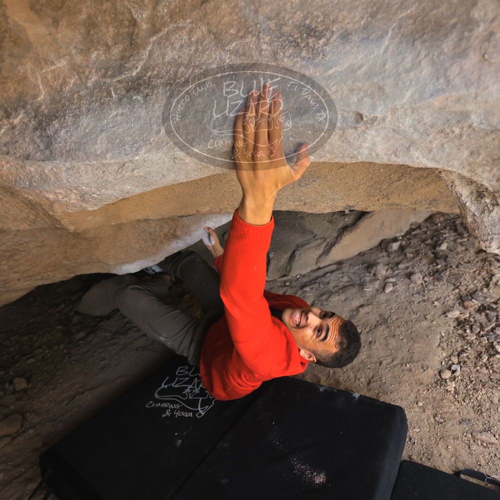 

Filename: SRM_20211219_1317301.jpg
Aperture: f/4.0
Shutter Speed: 1/400
Body: Canon EOS R6
Lens: Canon EF 16-35mm f/2.8 L