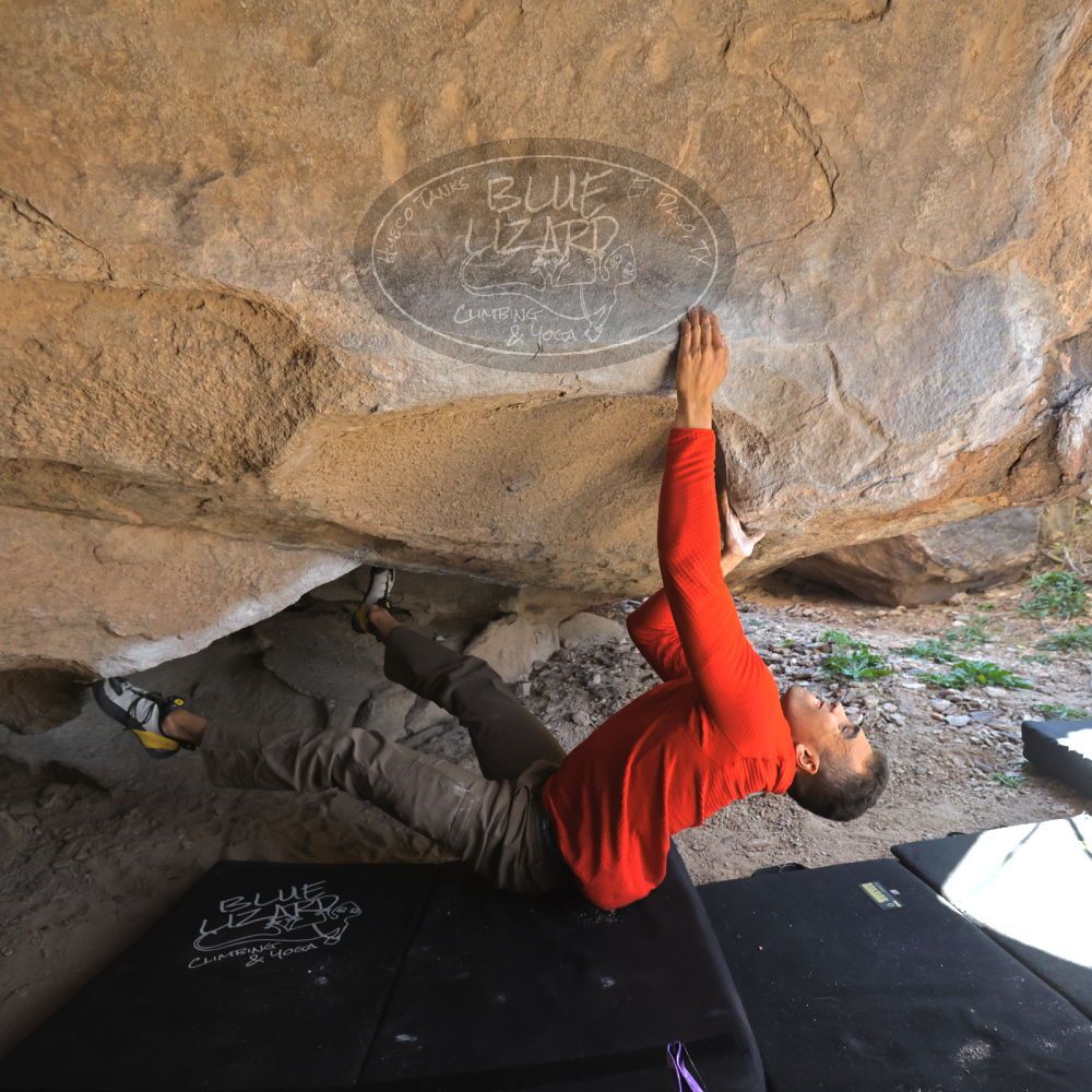 

Filename: SRM_20211219_1318220.jpg
Aperture: f/4.0
Shutter Speed: 1/400
Body: Canon EOS R6
Lens: Canon EF 16-35mm f/2.8 L